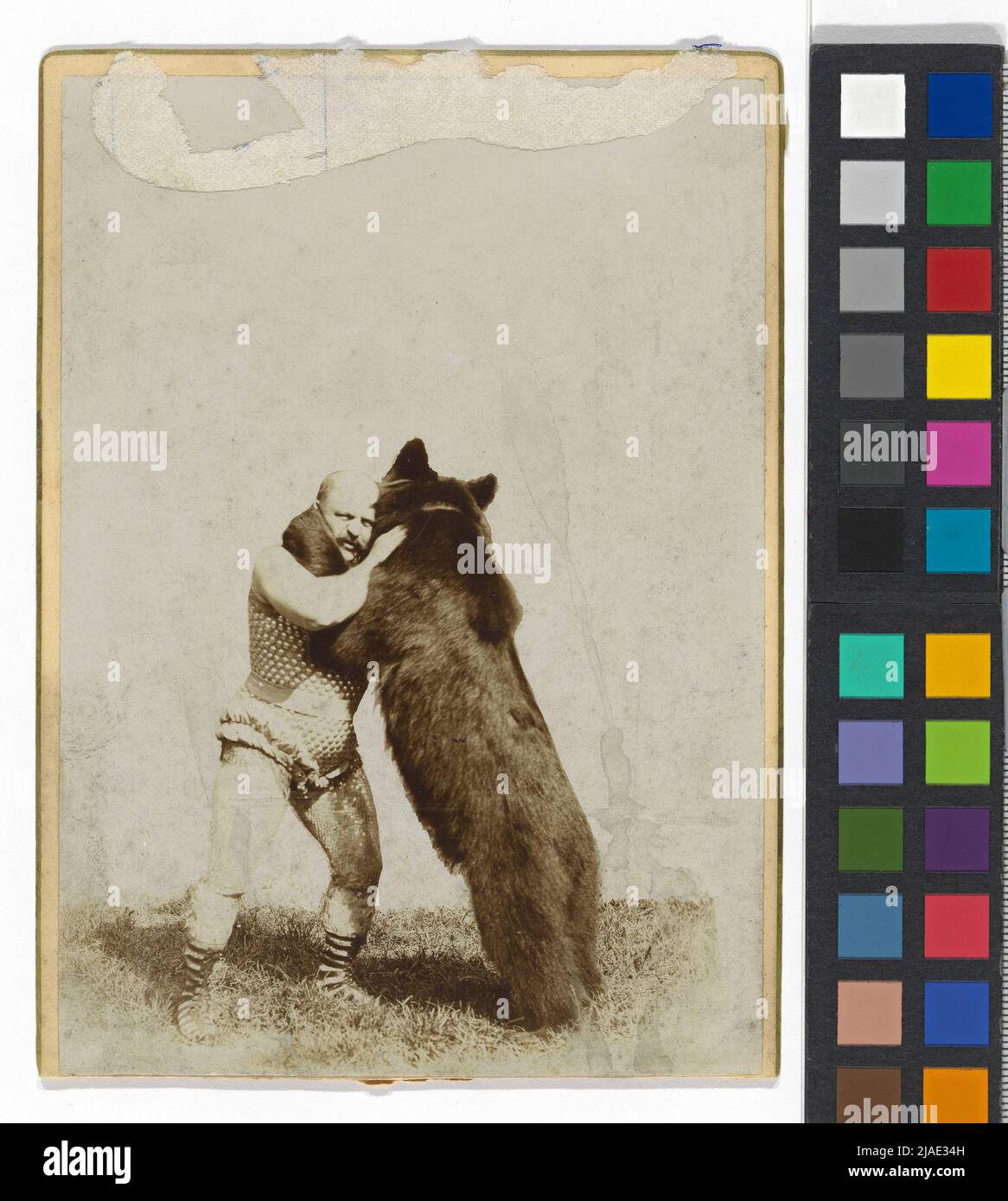 El luchador Georg Jagendorfer en lucha con un oso. A. (Anton Paul) Huber (1852-1936) Foto de stock