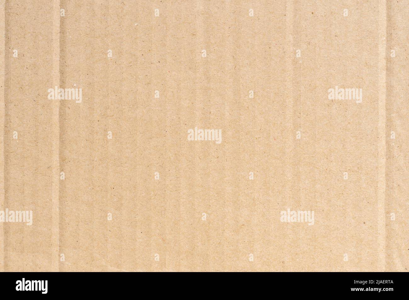 Caja de regalo de cartón marrón abierta con papel triturado aislado en  superficie blanca