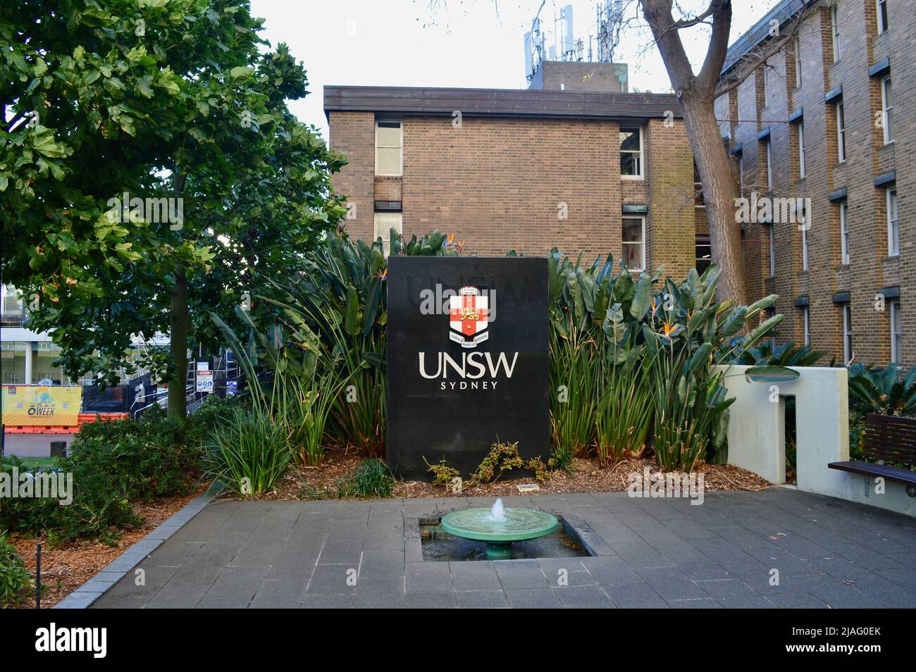 Toma fotos en la Universidad de Nueva Gales del Sur Foto de stock
