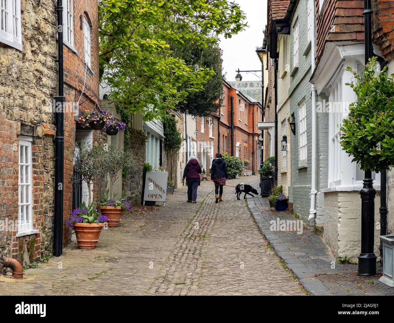 Edificios antiguos en un estrecho carril en la pequeña ciudad de Petworth en West Sussex en el sur de Inglaterra. Foto de stock