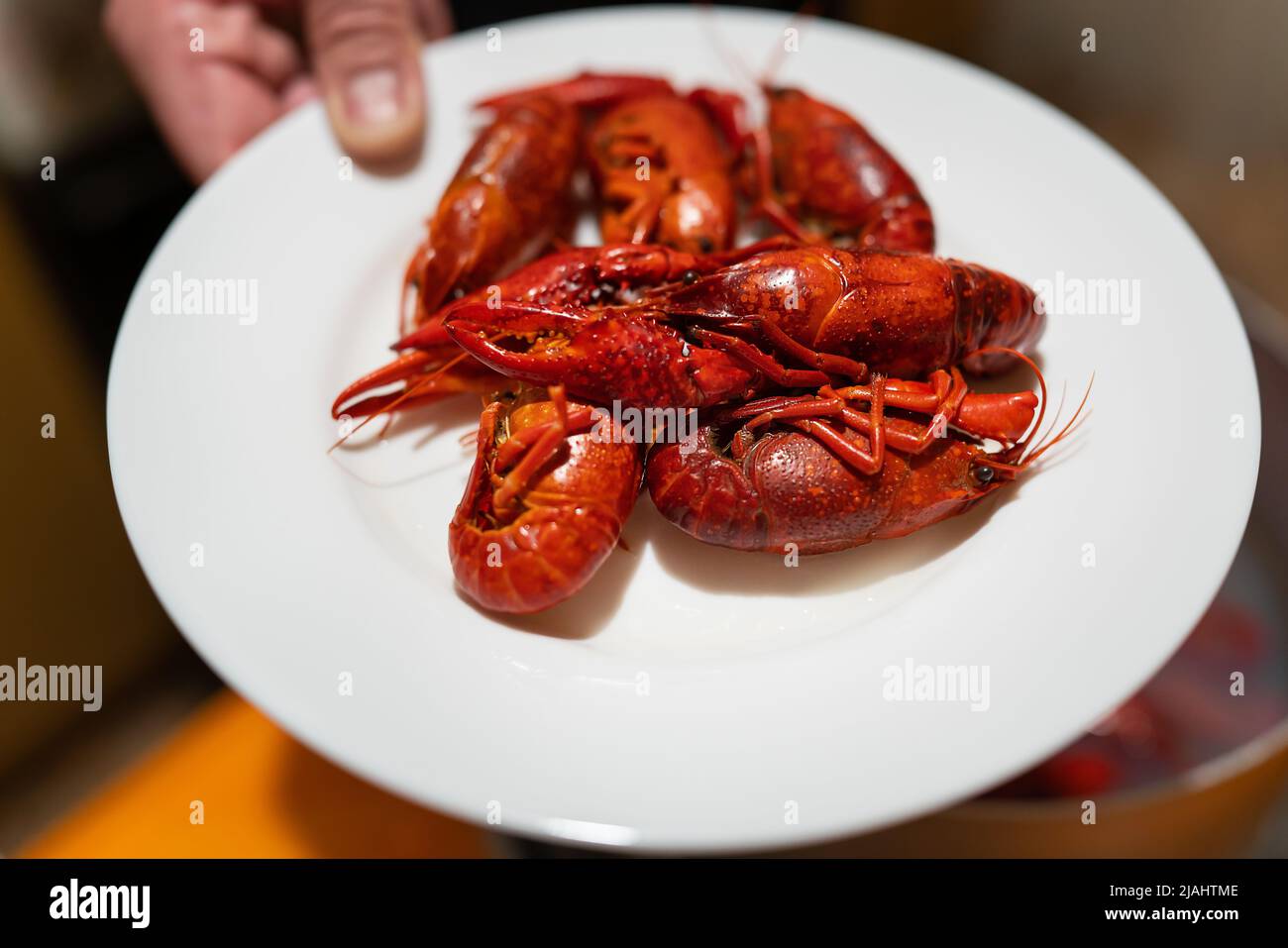 Cangrejo delicioso y apetitoso