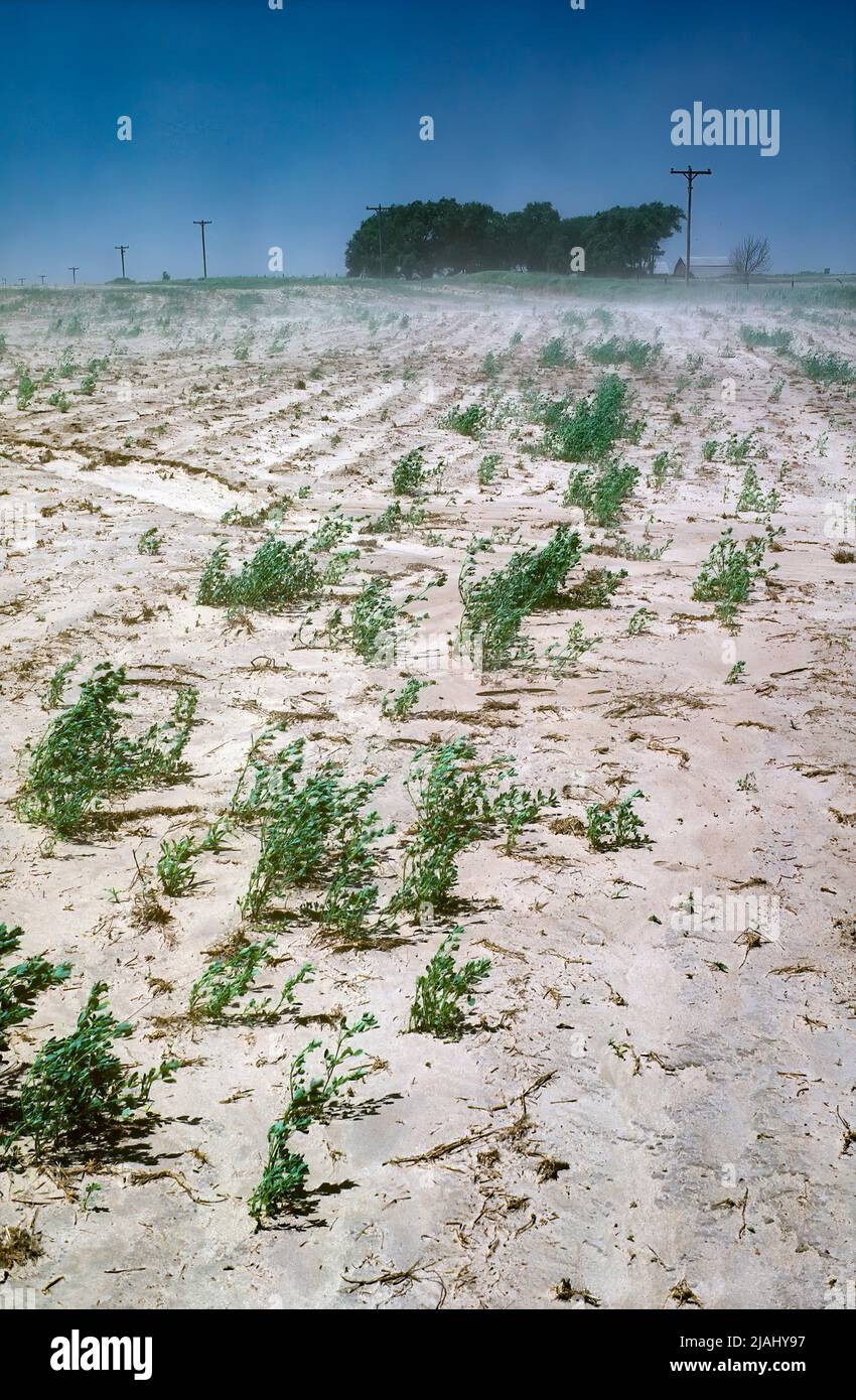 Cuenco de Polvo de Kansas, Suelo de erosión eólica Foto de stock