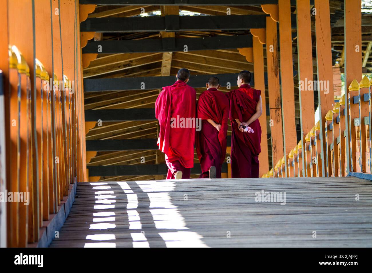 Un grupo de monjes togada camina a través de un puente cubierto en Punakha, Bhután, mientras que una de las tres intervenciones en un teléfono móvil. Foto de stock