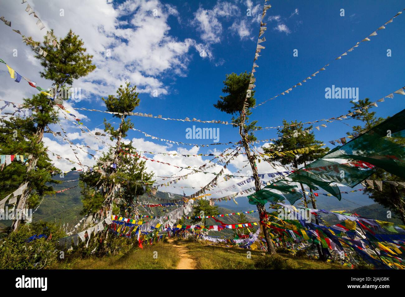 Banderas de oración volando entre los árboles, bajo un cielo azul cerca de Thimphu, Bután Foto de stock