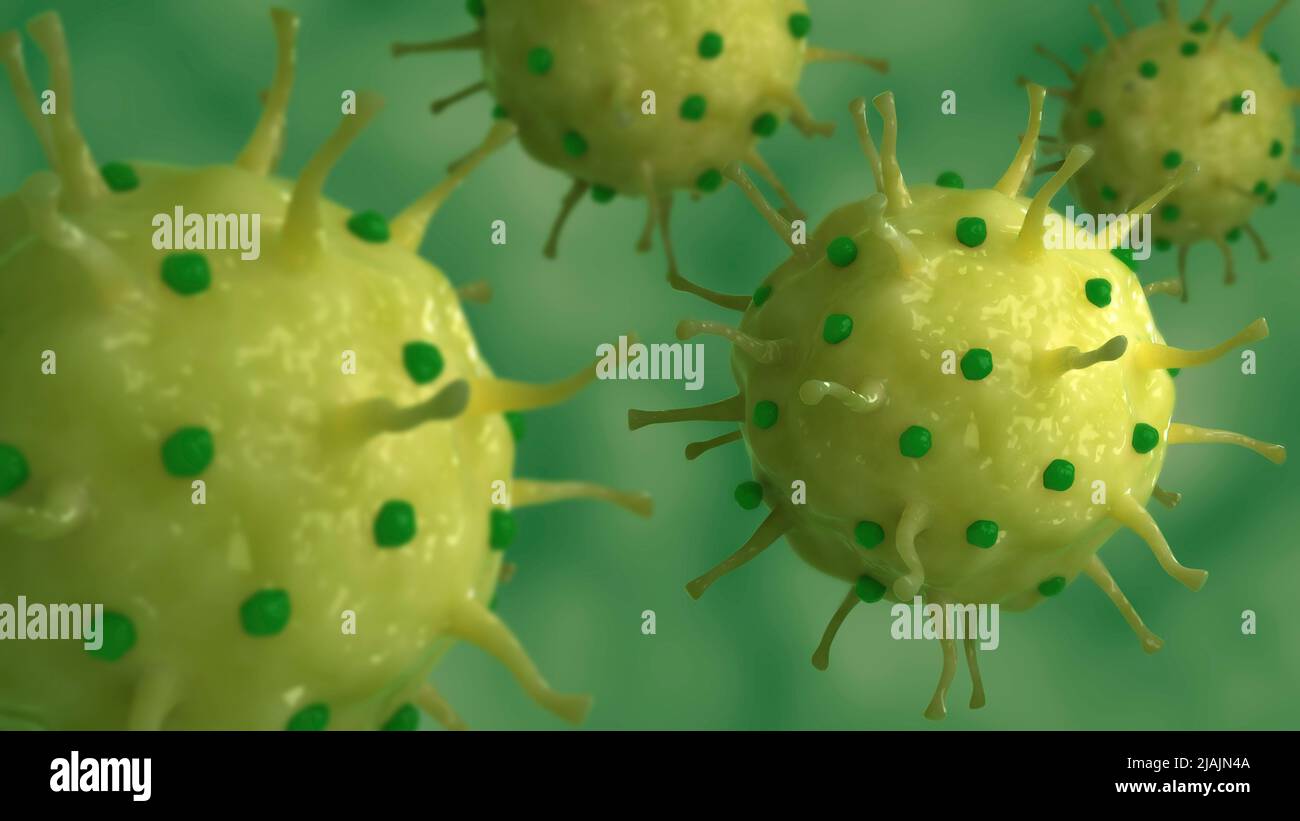 Ilustración biomédica conceptual del herpes genital, una infección por el virus del herpes simple. Foto de stock