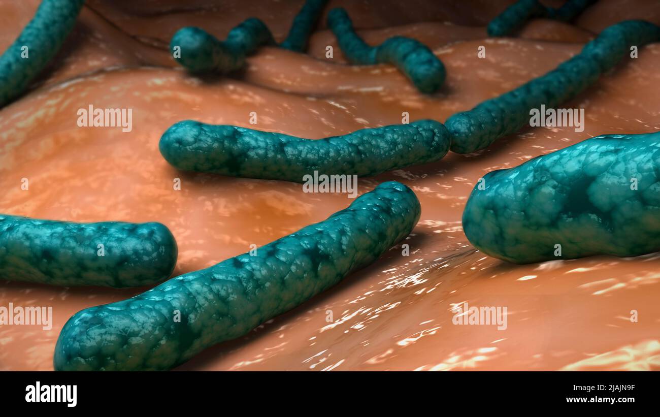 Ilustración biomédica conceptual de la bacteria Streptobacillus moniliformis. Foto de stock