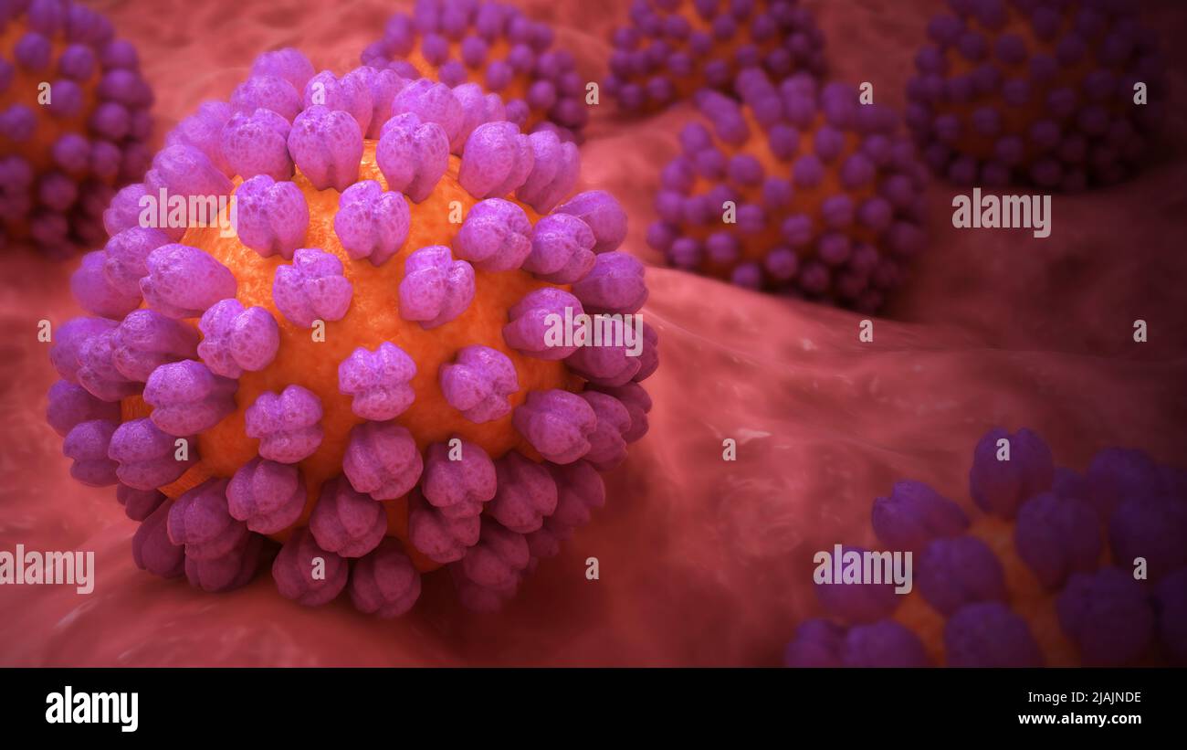 Ilustración biomédica conceptual del norovirus en la superficie. Foto de stock