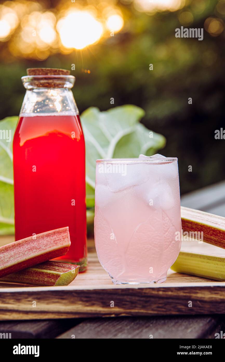 Jarabe de ruibarbo casero ( Rheum hybridum ). Bonito jarabe líquido rosa en botella y vaso con zumo y cubitos de hielo en vaso para beber en bandeja Foto de stock