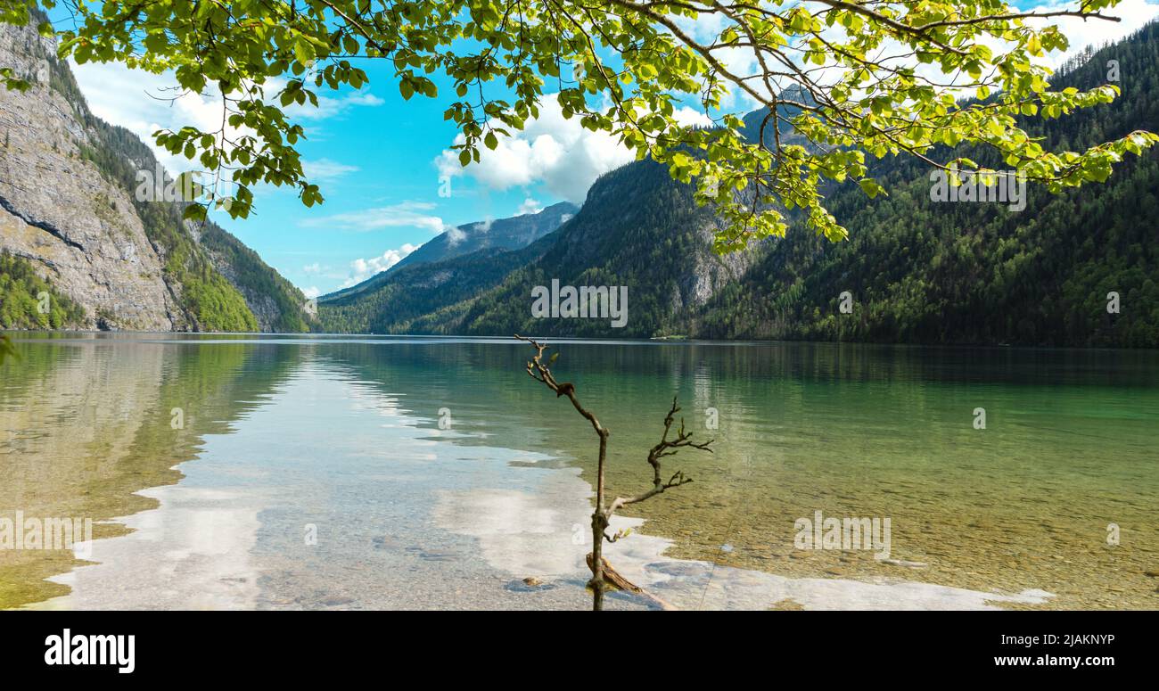 Hermoso lago de montaña con árboles verdes Foto de stock