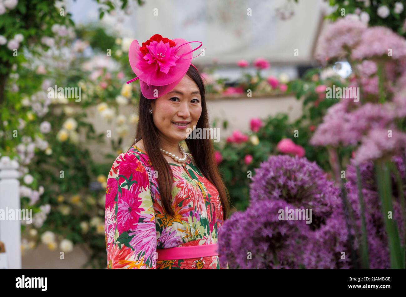 Una dama de moda con un sombrero rosa visita el RHS Chelsea Flower Show, entre los Aliums y las rosas. Foto de stock