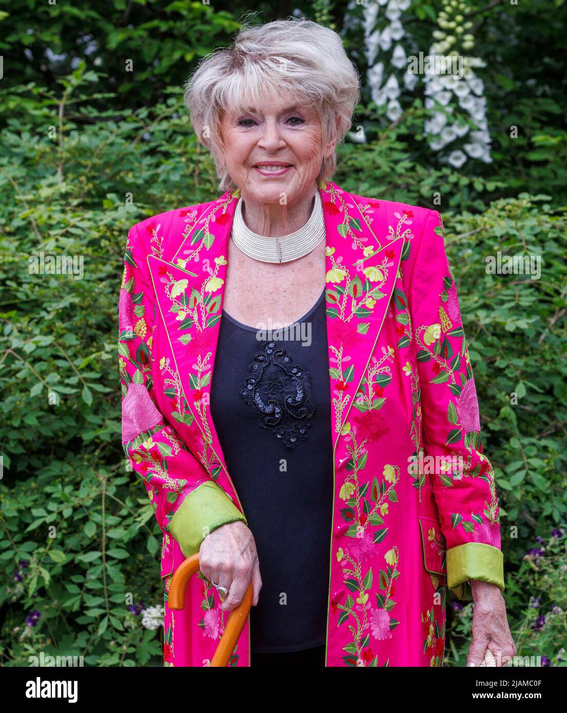 Gloria Hunniford, presentadora de radio y televisión de Irlanda del Norte, en el Salón de Flor Chelsea de RHS. Foto de stock