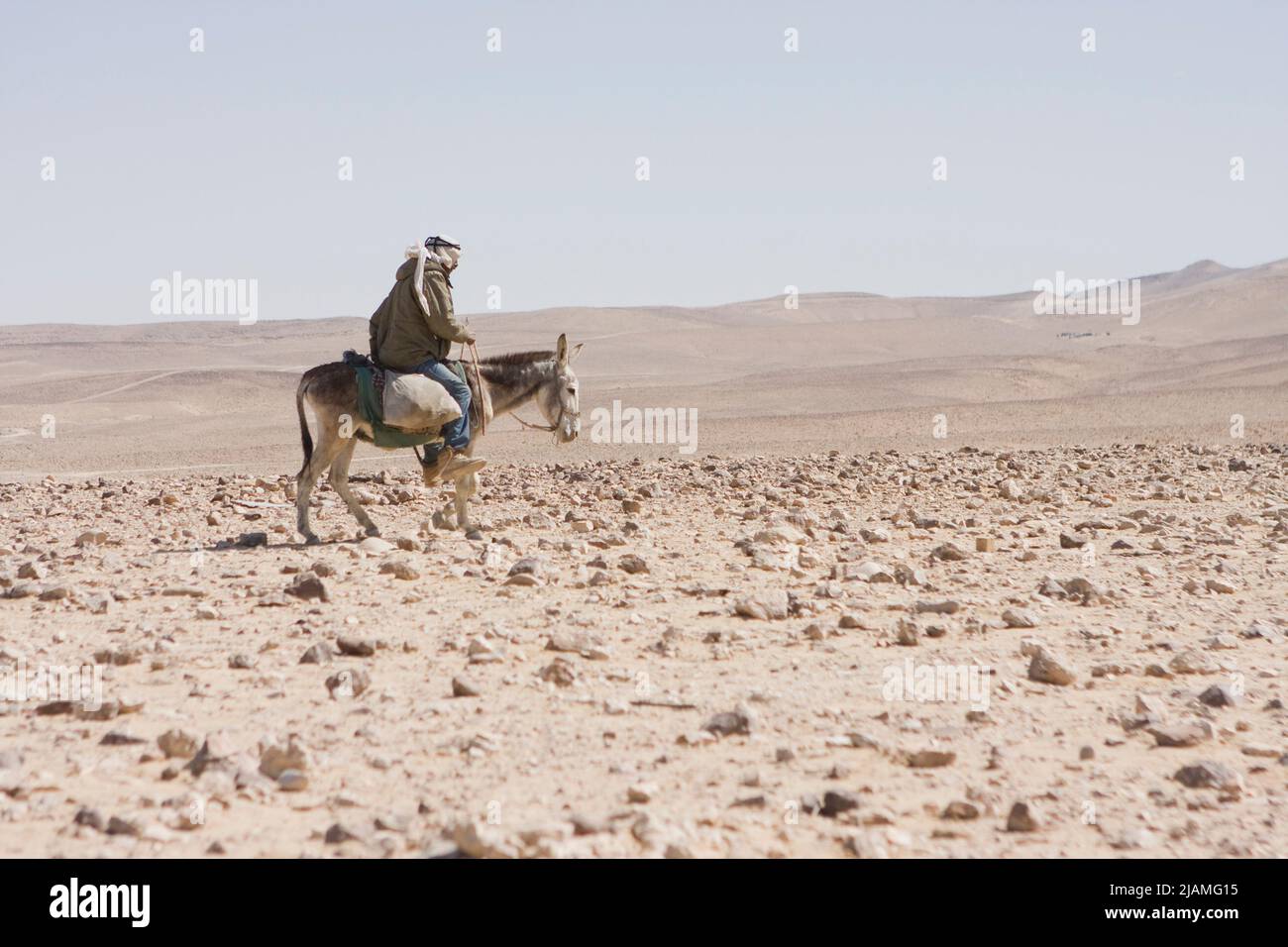 Un hombre beduino monta un burro en el desierto de Negev, Israel Foto de stock