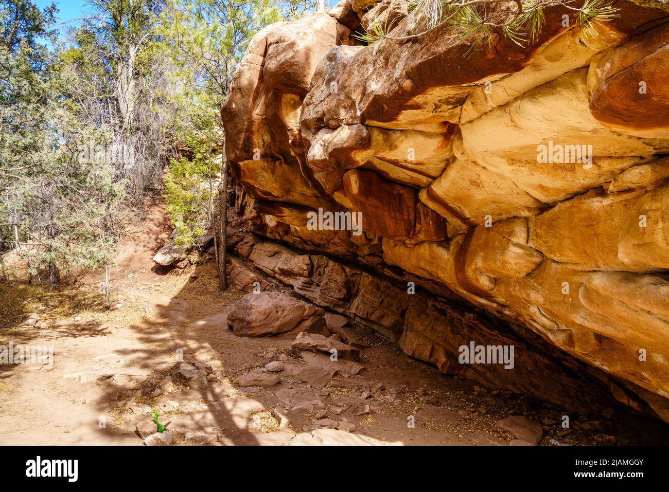 Sendero para caminatas en Grasshopper Canyon cerca de Santa Fe, Nuevo México Foto de stock