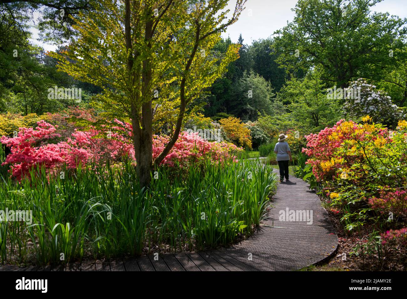 Norfolk Broads How Hill Secret Garden Norfolk England May 2022 Cómo Hill Secret Garden en How Hill Trust en los Norfolk Broads, Norfolk, Inglaterra. El az Foto de stock