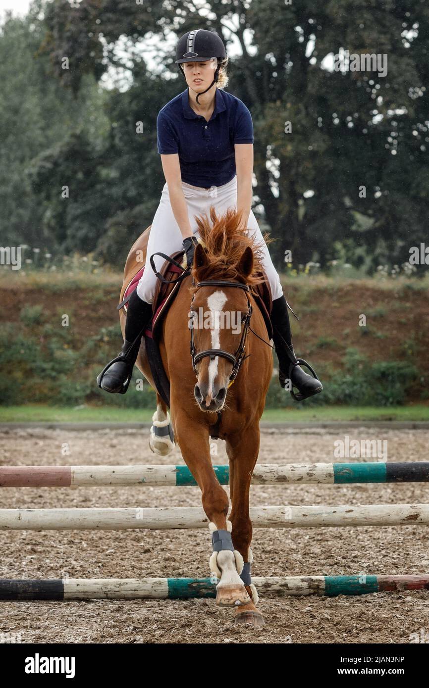 Jumper ecuestre - jovencita saltando con caballo de color marrón cereza. Un caballo y jinete en movimiento de salto, en el aire, competencia ecuestre en la lluvia. Foto de stock