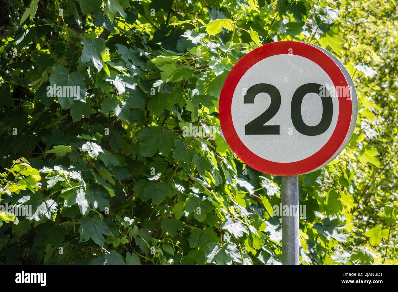 Señal de carretera que indica el límite de velocidad de 20 MPH o 20 km por hora. Número par, reglas de la carretera, seguir la metáfora de las reglas, señales de carretera Reino Unido, zona de velocidad. Foto de stock