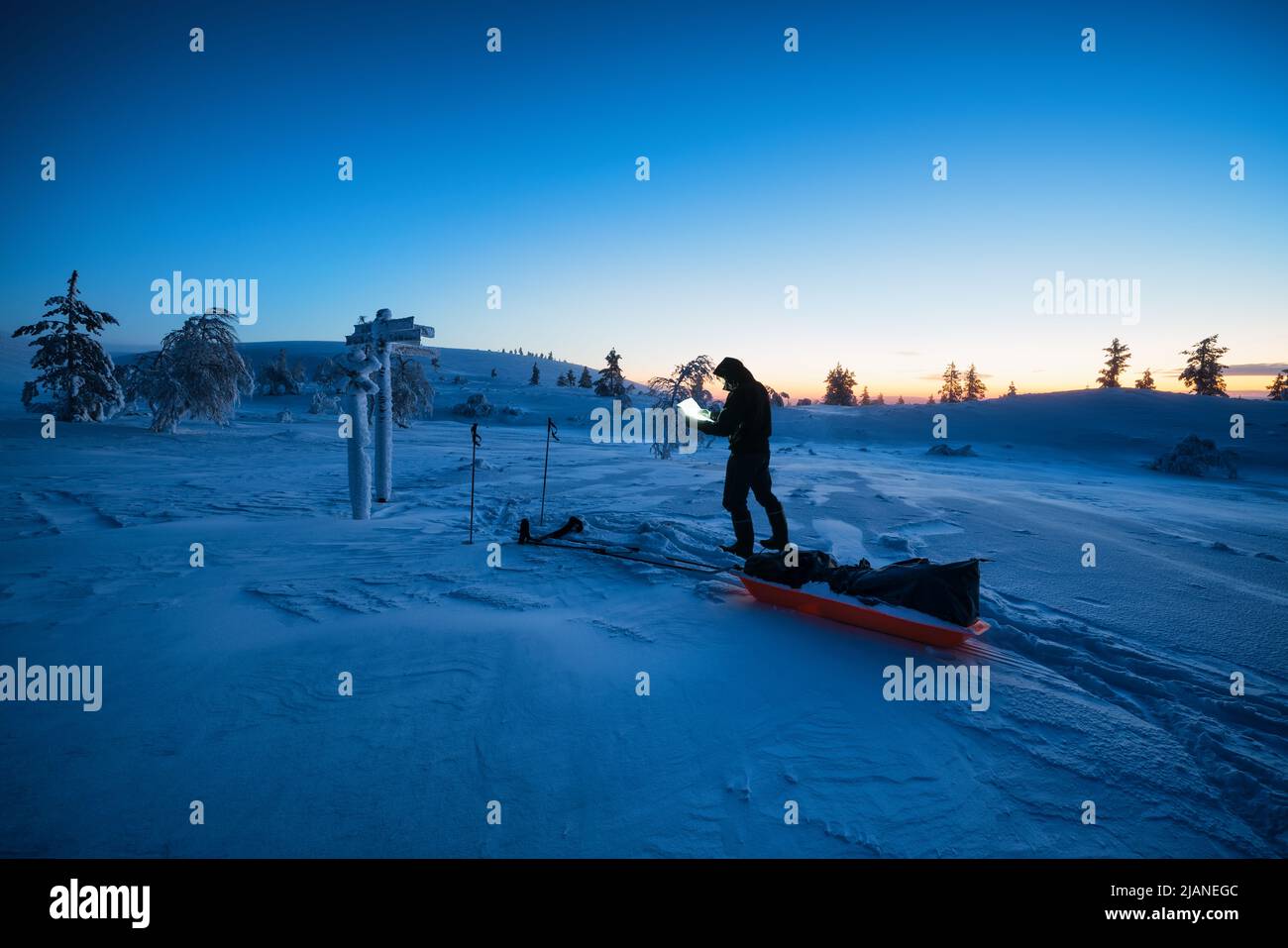 Lectura del mapa durante una excursión de esquí en Enontekiö durante la noche polar, Laponia, Finlandia Foto de stock
