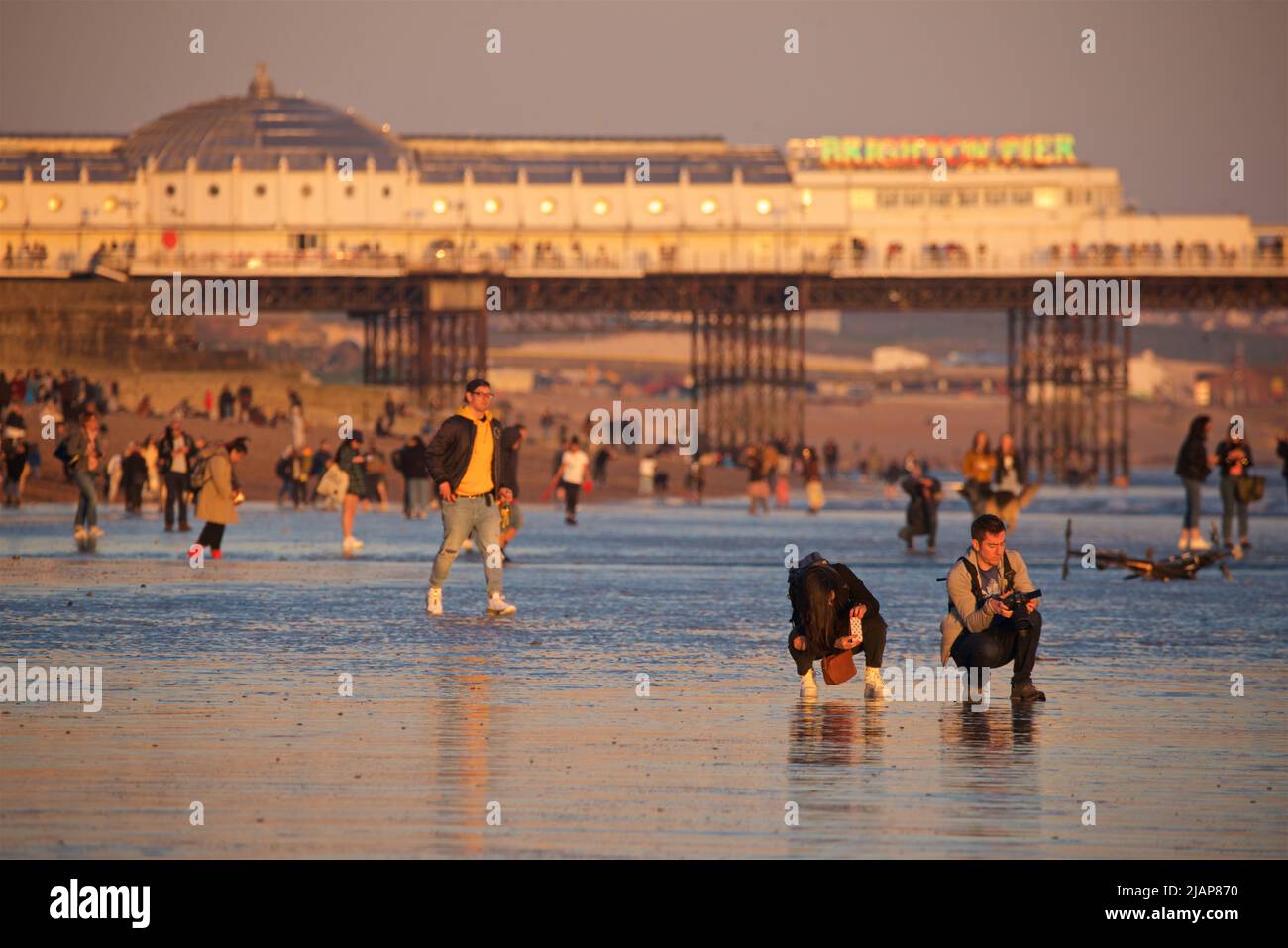 Multitudes de gente en la playa en marea baja, Brighton & Hove, East Sussex, Inglaterra, Reino Unido. Brighton Palace Pier más allá. Foto de stock