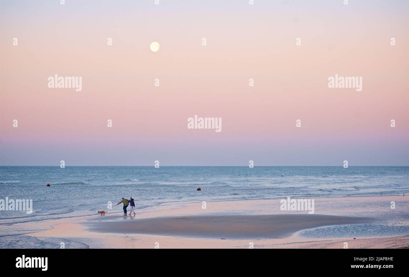 Pareja caminando a su perro a lo largo de la costa con la marea baja y el amanecer. Brighton, Inglaterra, Reino Unido. Luna llena sobre un cielo rosa oscuro. Foto de stock