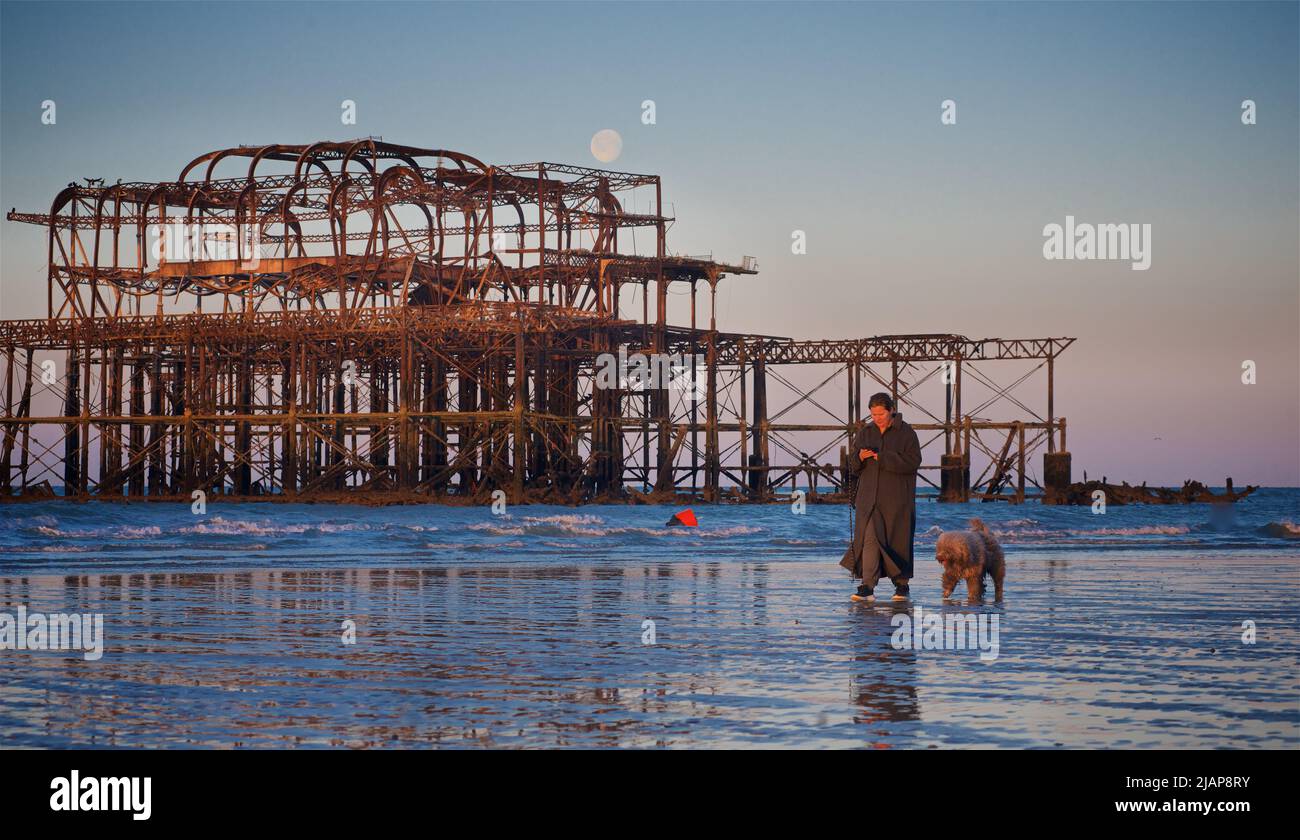 Restos oxidados del dilapidado West Pier en la marea baja del amanecer. Brighton & Hove, Sussex, Inglaterra, Reino Unido. Luna llena. Mujer caminando con perro. Foto de stock