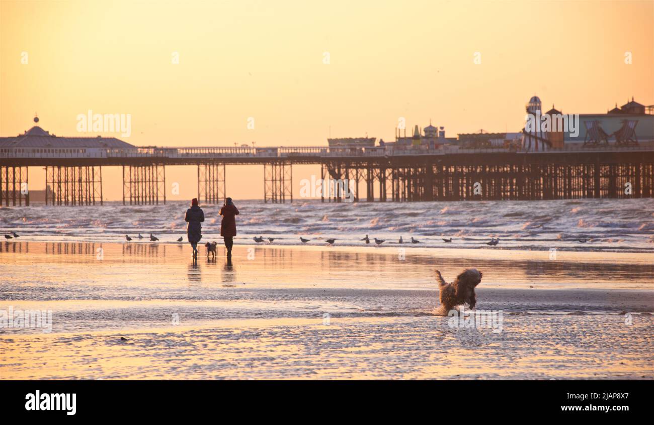 Siluetas del amanecer de personas en la playa en marea baja, Brighton & Hove, East Sussex, Inglaterra, Reino Unido. Paseo por la mañana con perro en la playa. Brighton Palace Pier en el fondo. Foto de stock