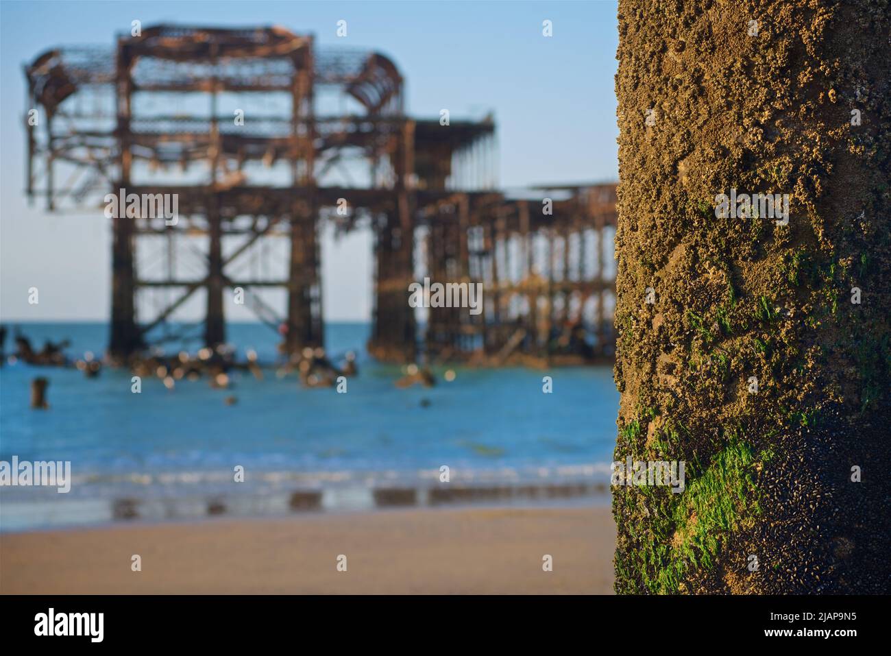 Restos oxidados del dilapidado West Pier en la marea baja del amanecer. Brighton & Hove, Sussex, Inglaterra, Reino Unido. Detalle de columnas con incrustaciones de barnacles y algas del antiguo muelle. Foto de stock
