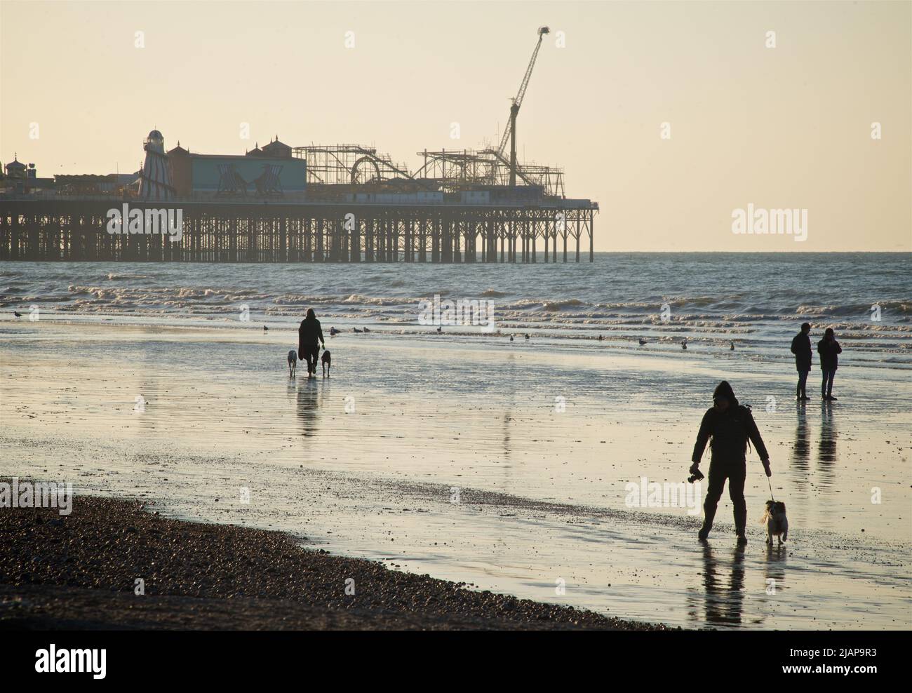 Siluetas del amanecer de personas en la playa en marea baja, Brighton & Hove, East Sussex, Inglaterra, Reino Unido. Paseos por la mañana con perros en la playa. Palacio / Brighton Pier en el fondo. Foto de stock