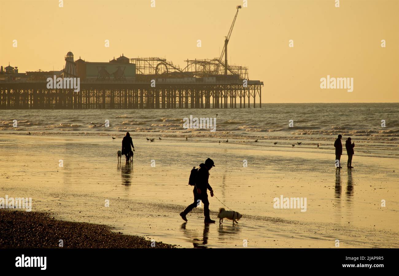 Siluetas del amanecer de personas en la playa en marea baja, Brighton & Hove, East Sussex, Inglaterra, Reino Unido. Paseos por la mañana con perros en la playa. Palacio / Brighton Pier en el fondo. Foto de stock
