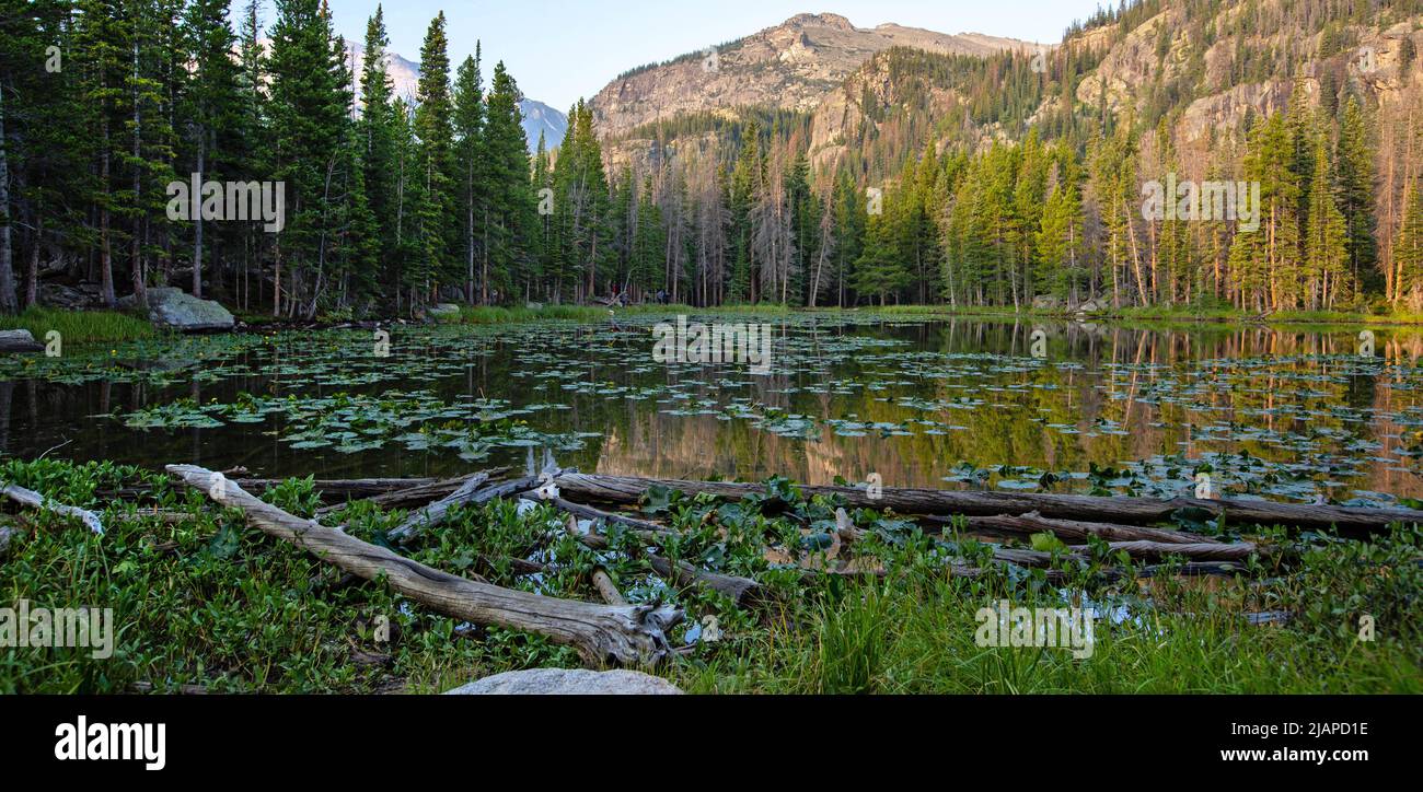 Dream Lake, Parque Nacional de las Montañas Rocosas. Colorado, Estados Unidos de América. Una versión única y optimizada de una imagen NPS, Crédito: NPS/M.Reed Foto de stock
