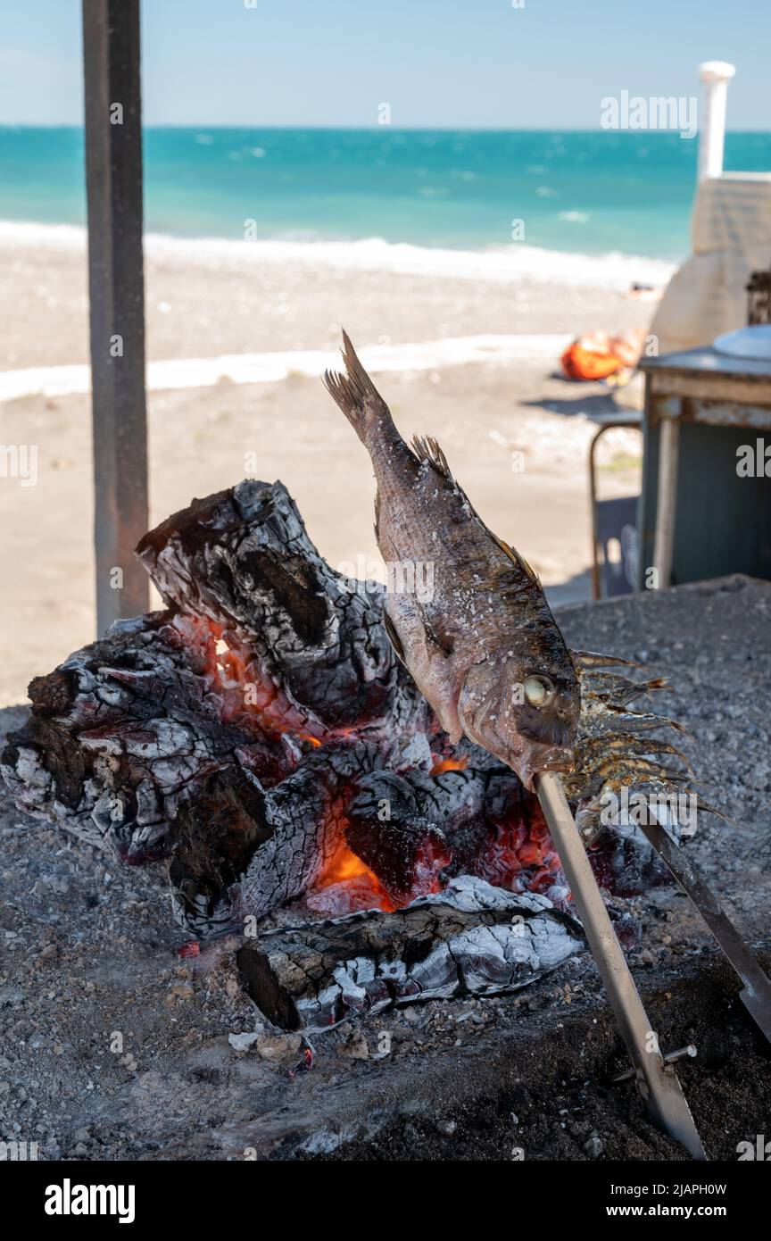 Estilo malagueño de preparación de pescado fresco, captura del día, en  brochetas y llama al aire libre en la chimenea con madera de olivos en la  playa, Andalucía, Spa Fotografía de stock -