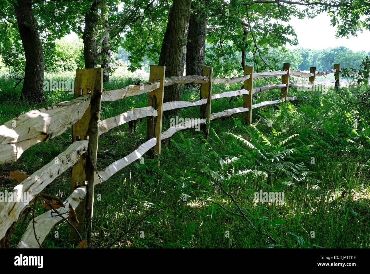 tradicional valla de madera dividida en el entorno rural, norfolk, inglaterra Foto de stock