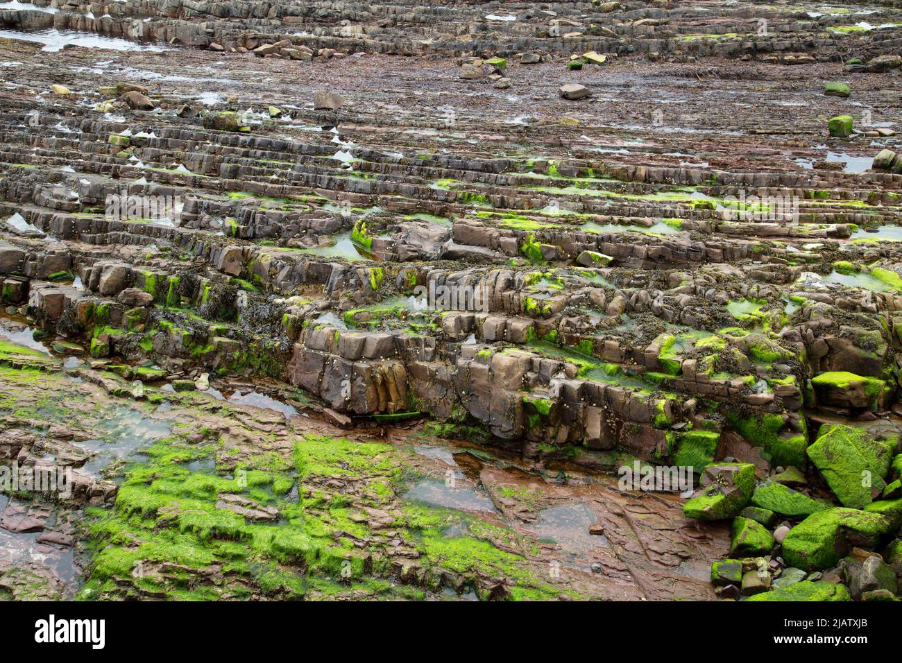 Formaciones rocosas costeras, John O'Groats, Caithness, Escocia Foto de stock