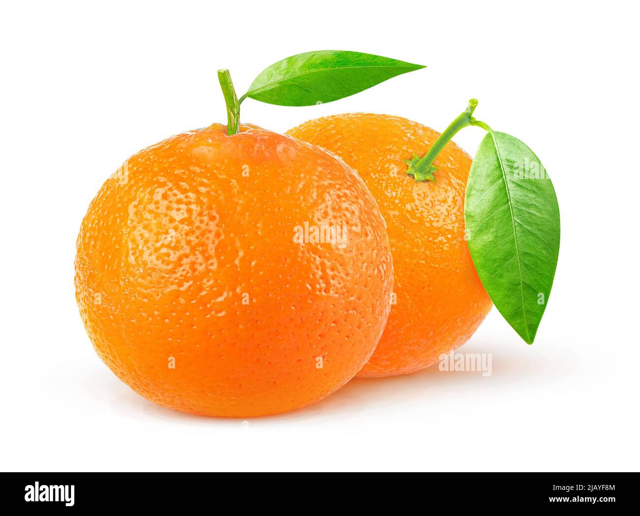 Dos frutos de tangerina con hoja aislada sobre fondo blanco Foto de stock