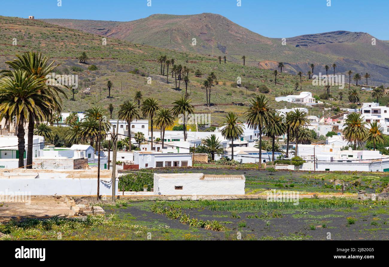 Vista al pueblo Haria en Lanzarote con casas blancas típicas. Haria es  conocido como el valle de mil palmeras Fotografía de stock - Alamy