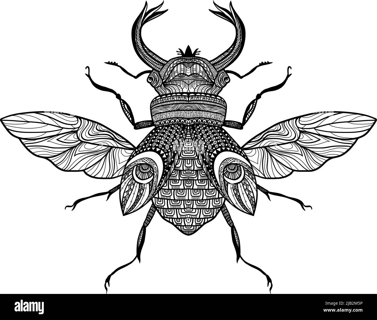 Bosquejo de insecto decorativo con ornamento dibujado a mano ilustración de vector negro Ilustración del Vector