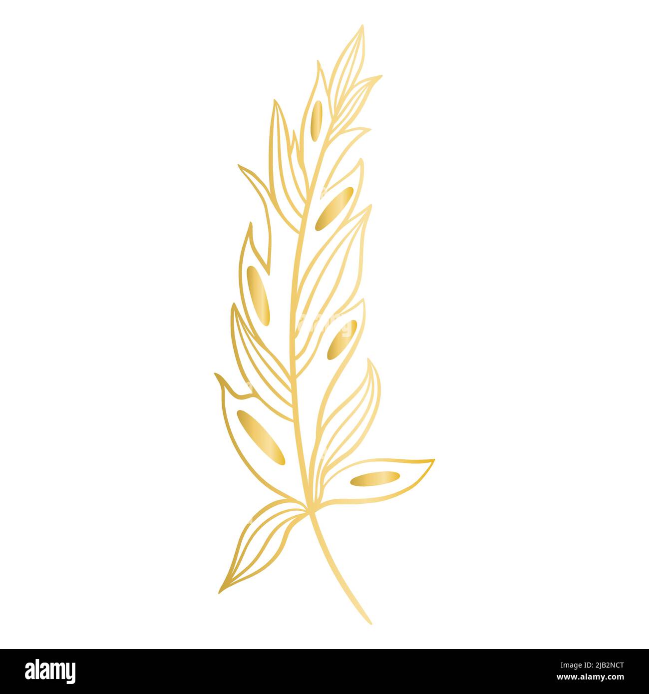 Ilustración vectorial aislada de plumas doradas de lujo. Hermosa pluma de  pájaro de oro agraciado, decoración para postales o diseño Imagen Vector de  stock - Alamy