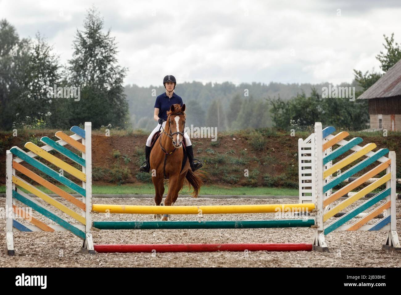 Deporte ecuestre. Joven niña monta a caballo en el campeonato, ella salta a través de la barrera con el caballo de color cereza-marrón. Foto de stock