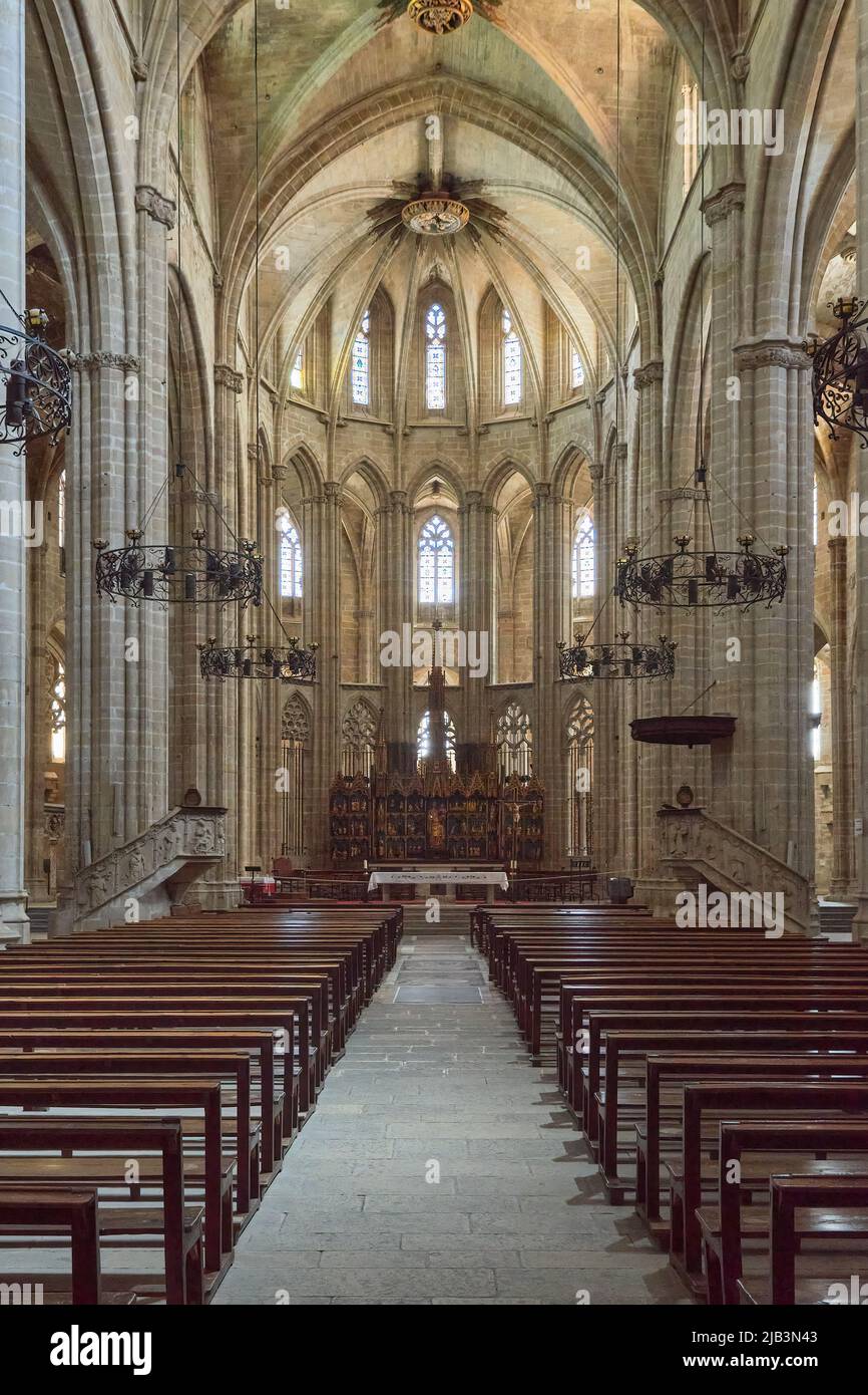 Interior gótico catalán de la basílica catedral de Santa María de Tortosa, del siglo 14th, provincia de Tarragona, Cataluña, España, Europa Foto de stock