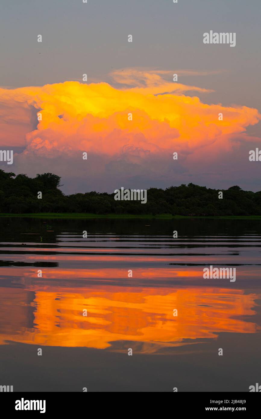 Nube al atardecer en el Río Negro, Fazenda Barranco Alto - Pantanal Brasil Foto de stock