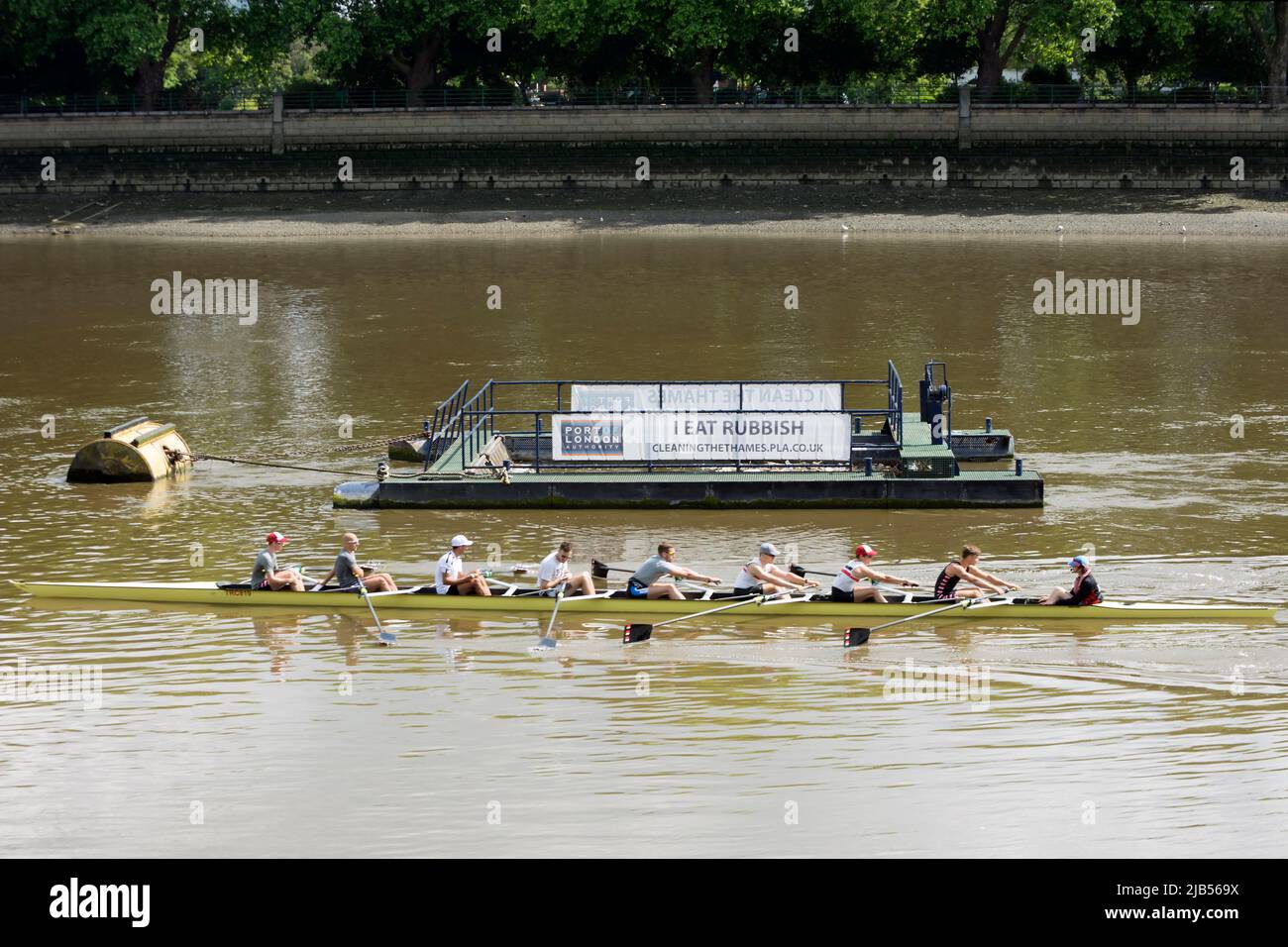 en el río támesis en putney, un remo ocho pasan por un puerto de la autoridad londinense barcaza con una pancarta de basura i eat, parte de una campaña de eliminación de basura. Foto de stock