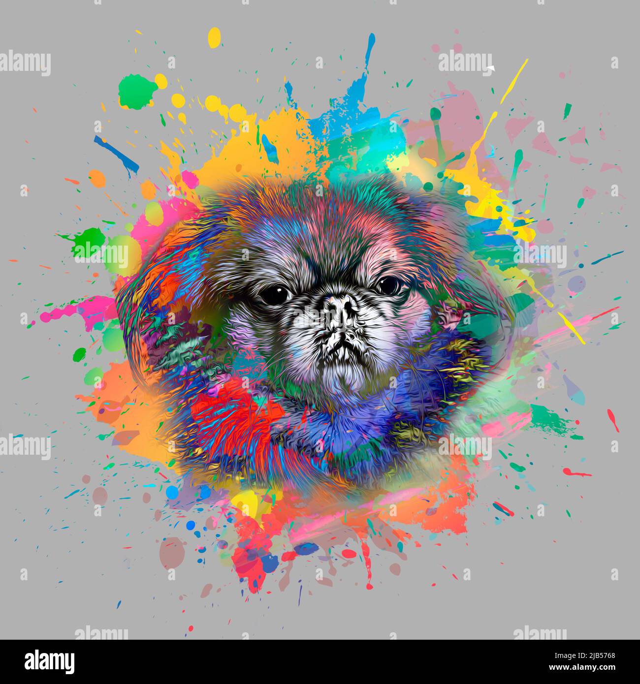 abstracto perro de color hocico aislado en el fondo colorido arte de color  Fotografía de stock - Alamy