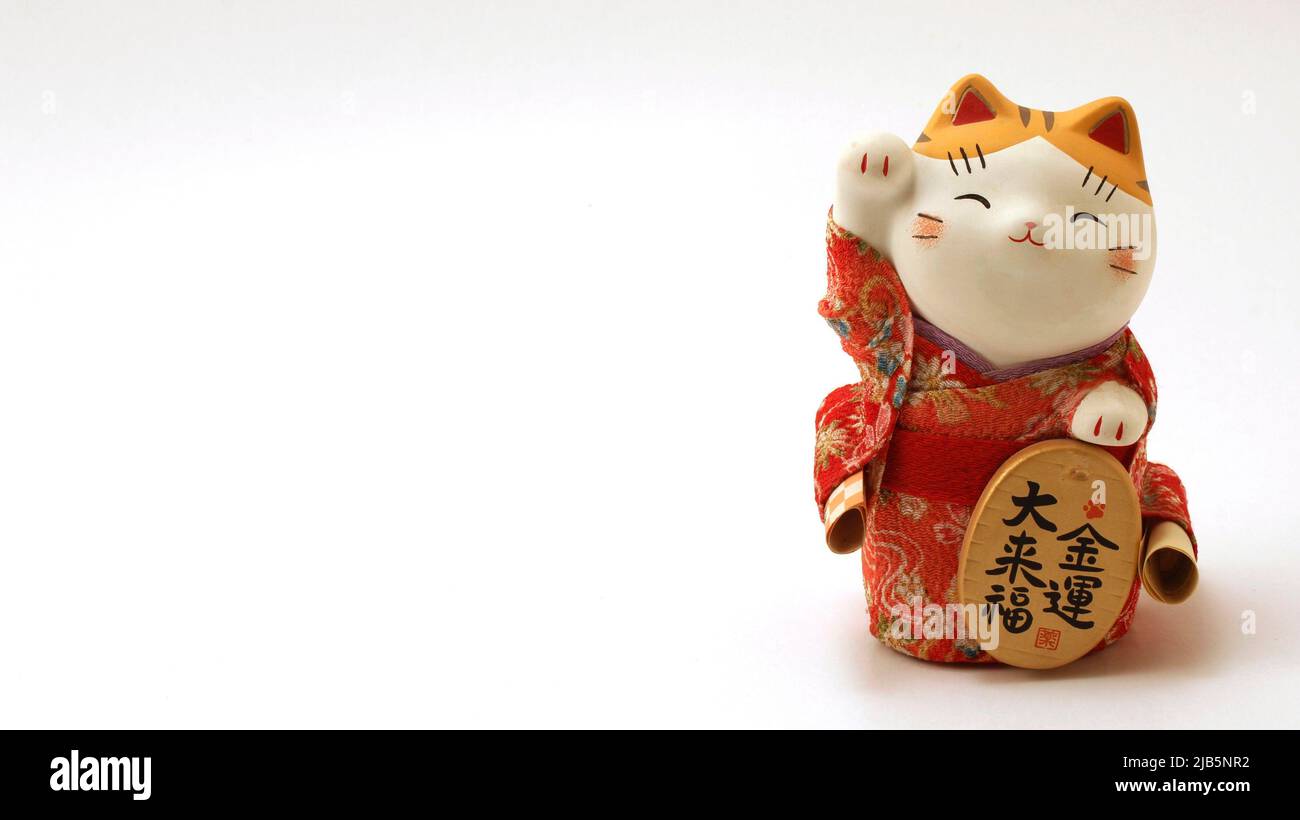 Gato chino o japonés con bolsa de dinero suerte Imagen Vector de stock -  Alamy