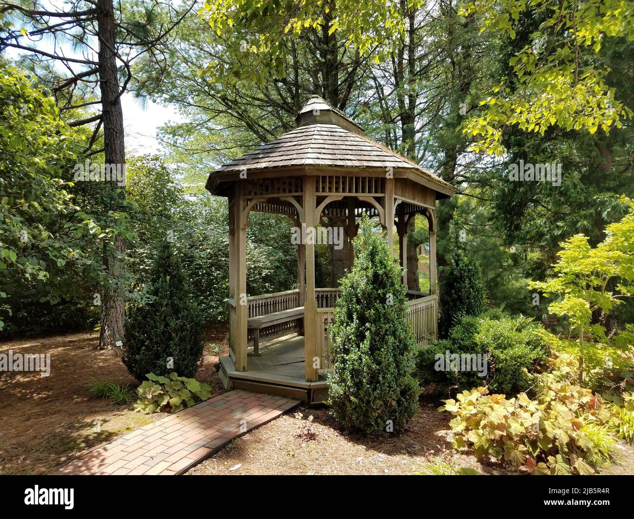 pequeño cenador de madera y varios pinos y otros árboles Fotografía de  stock - Alamy