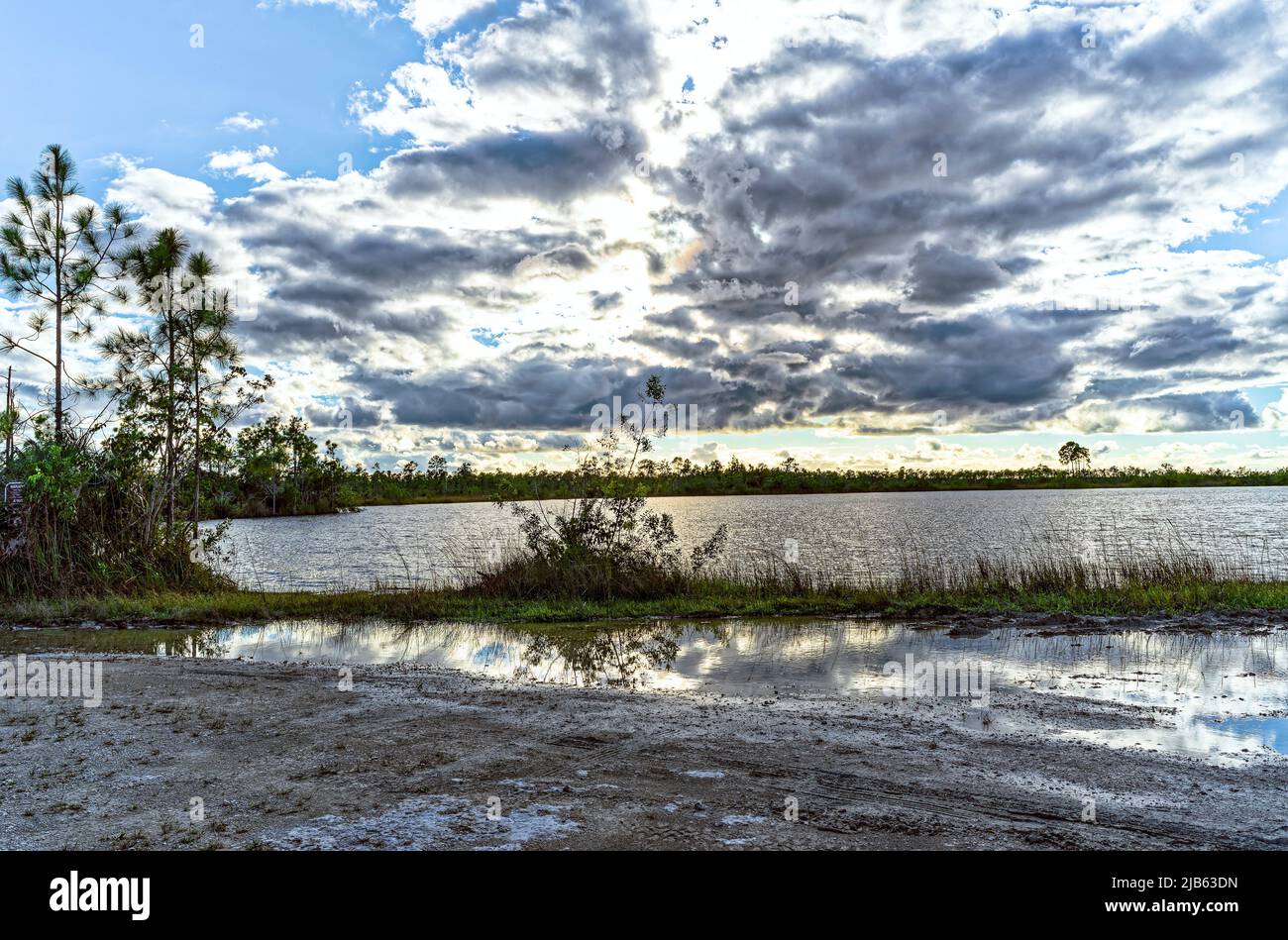 Lago Pine Glades. El Parque Nacional Everglades. Florida. EE.UU. Foto de stock