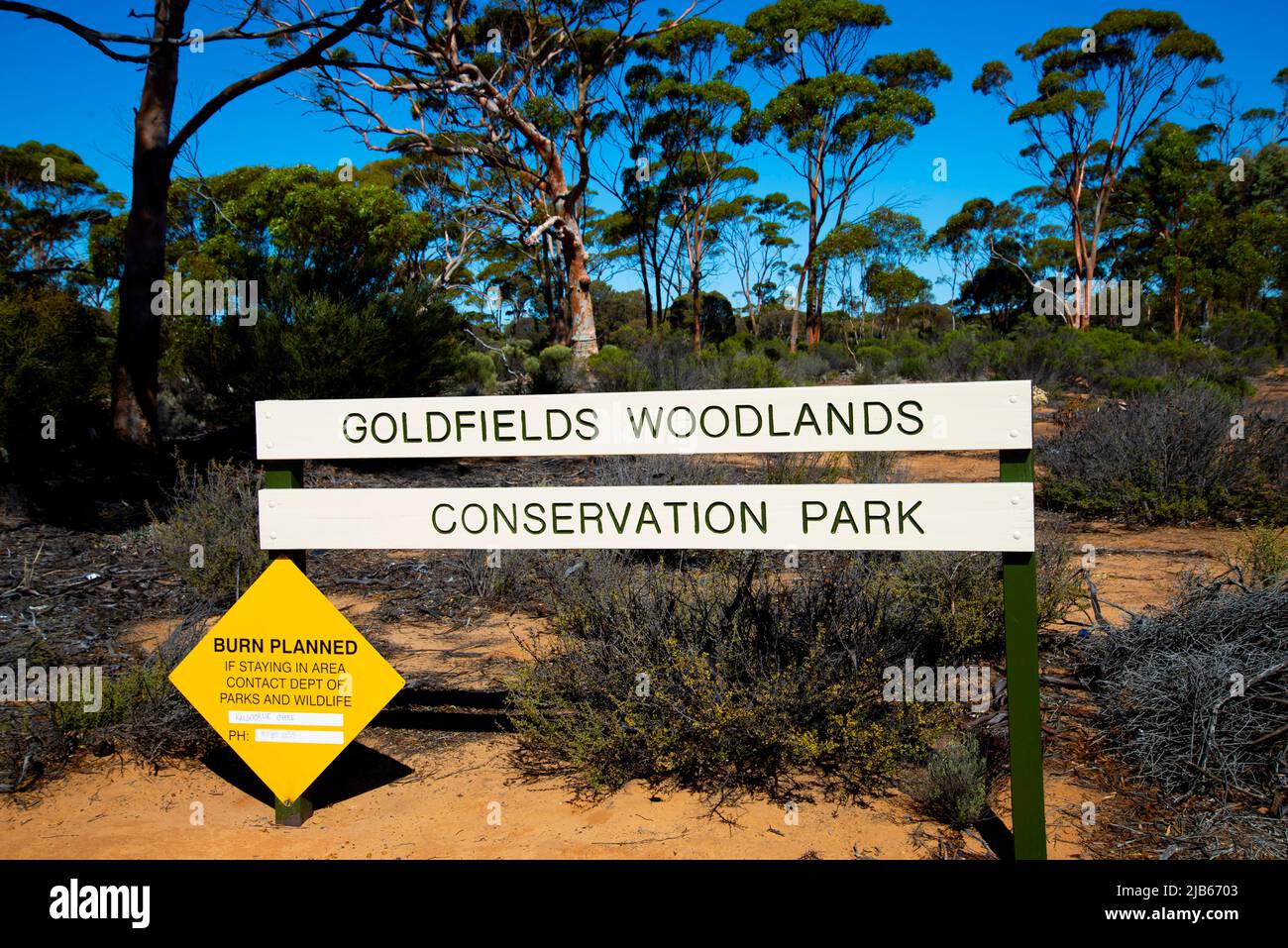 Parque de Conservación Goldfields Woodlands - Australia Occidental Foto de stock