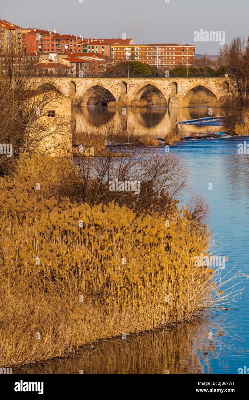 Puente de Piedra, Aceñas de Olivares, molinos Olivares, río Duero, ciudad de Zamora, Zamora Providencia, Castilla y León, España, Europa. Foto de stock