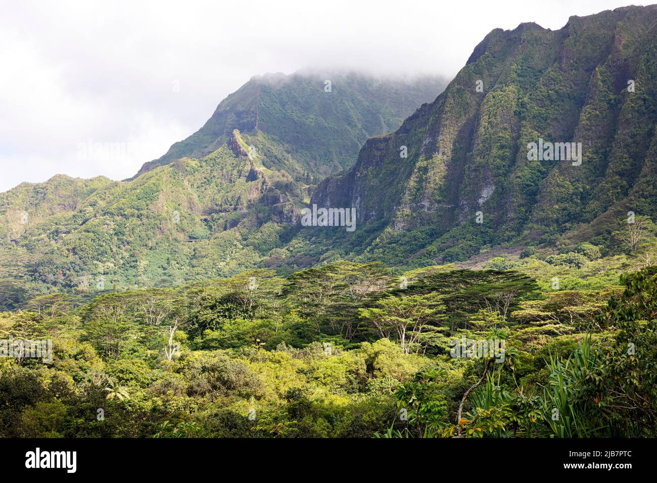 Vistas de las escarpadas montañas volcánicas de Oahu desde el Jardín Botánico Ho’omaluhia, Hawai Foto de stock