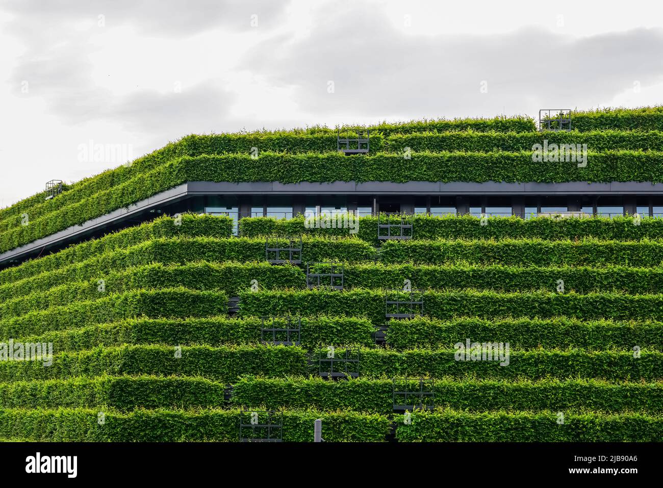 El edificio más grande de Europa con una fachada verde en Düsseldorf, Alemania el Kö-Bogen II con fachadas de cerco de vigas de caballo en forma de escalera. 23.5.22 Foto de stock