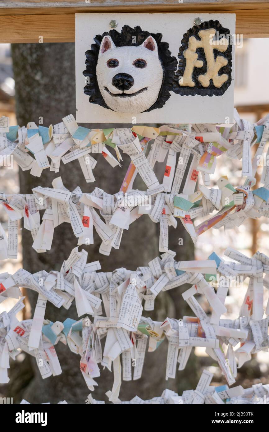 Artículos de la fortuna de omikuji con el signo del perro del zodiaco japonés en el santuario de Achi, Kurashiki, prefectura de Okayama, Honshu occidental, Japón. Foto de stock