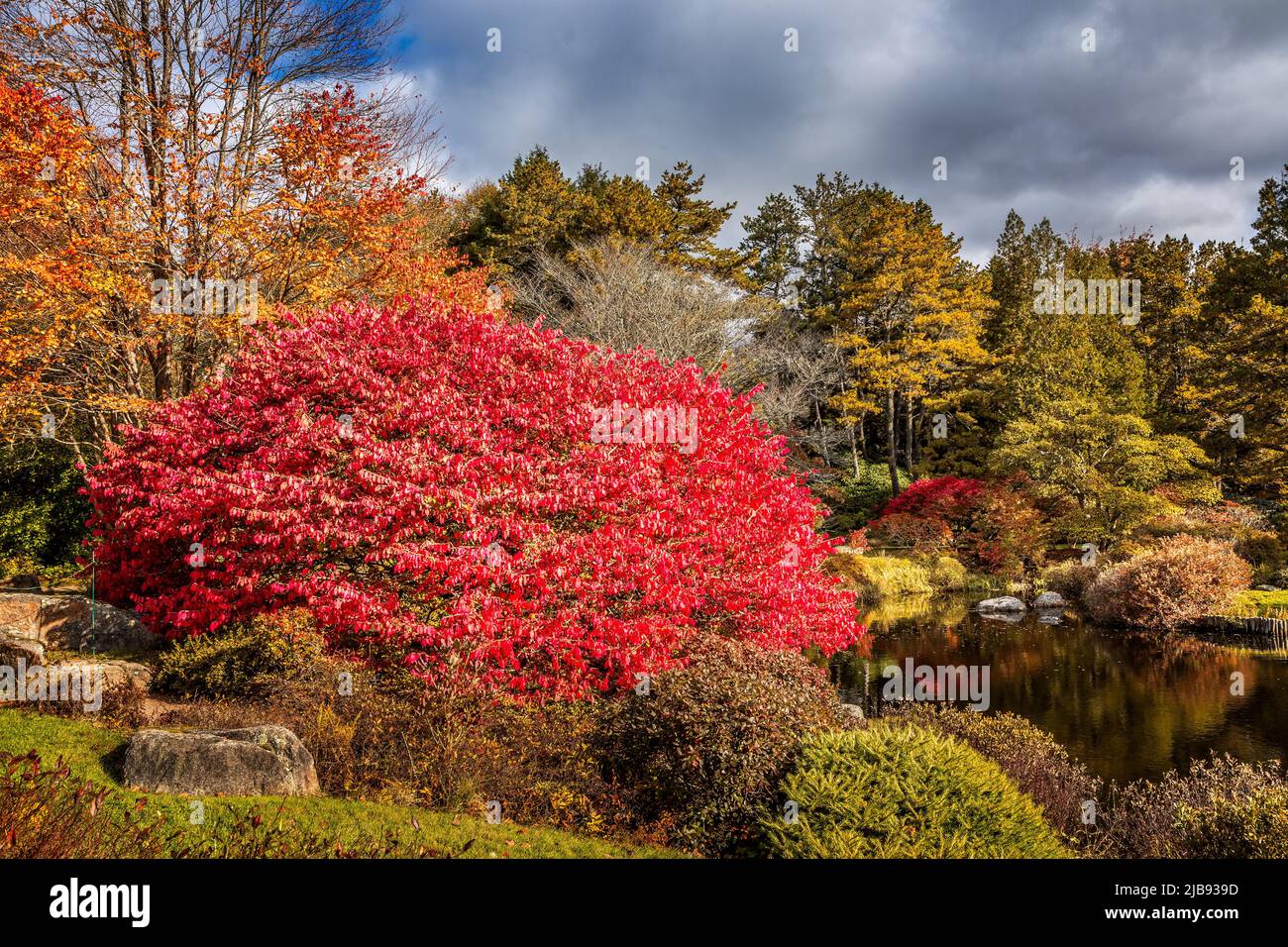 Idílico estanque de liitle con coloridas hojas cambiantes en otoño, Nueva Inglaterra Foto de stock